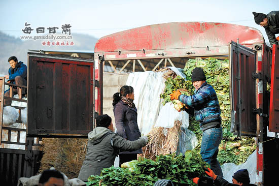 新鲜蔬菜源源不断运抵兰州大青山蔬菜瓜果批发市场