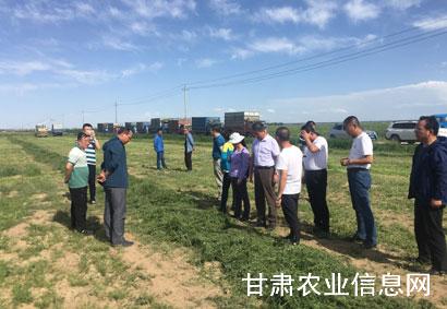 农业农村部农机化技术开发推广总站检查指导我省牧草机械化生产工作